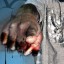 50 cent